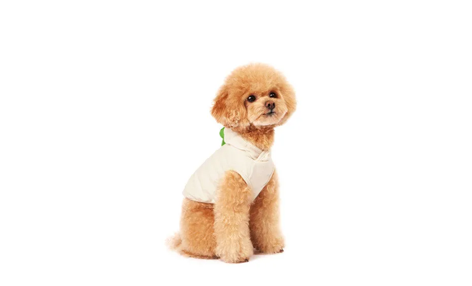 [Dentists Appointment] Form Form Hoody - Ivory