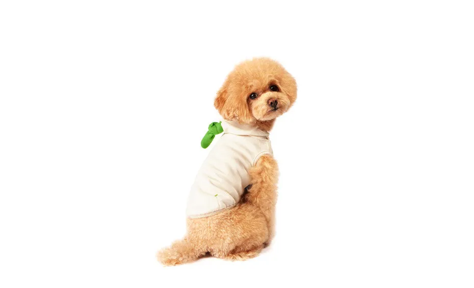 [Dentists Appointment] Form Form Hoody - Ivory